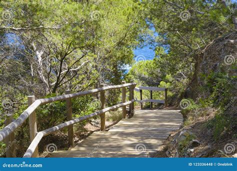 Seaside Destination Scenery Stock Photo Image Of Beautiful Relax 123336448