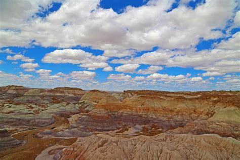 Seven Things To Do In Petrified Forest National Park Park Ranger John