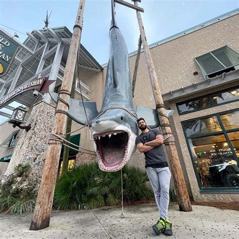 Shark At Bass Pro Destin Commons