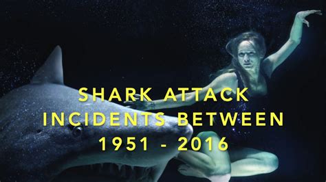 Shark Attack Incidents Over Time 1951 2016 Youtube