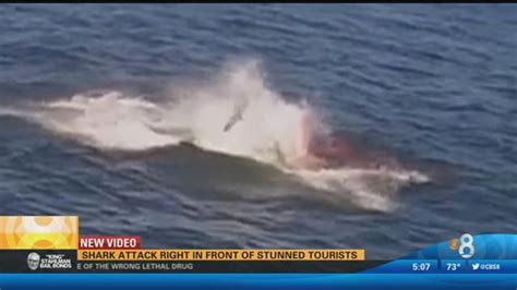 Shark Attack Right In Front Of Stunned Tourists Cbs8 Com