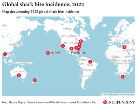 Shark Attack Statistics Frequency Amp Fatality Worldwide