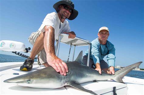 Shark Fishing Charters With Capt Jordan Pate