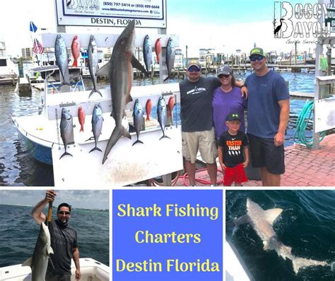 Shark Fishing Destin Fl Deep Sea Shark Fishing Boggy Bayou Shark Fishing Salt Water