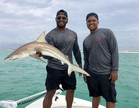 Shark Fishing In Destin Florida Environmental Impact