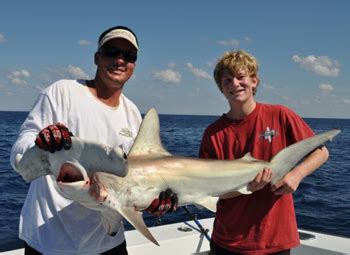 Shark Fishing Therapy Iv