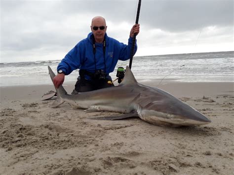 Shark Fishing Tips When Fishing From The Shore Sportquest Holidays