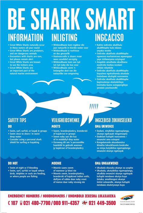 Shark Safety Tips Sorting Out Fact From Fiction Shark Facts Great White Shark Facts Great