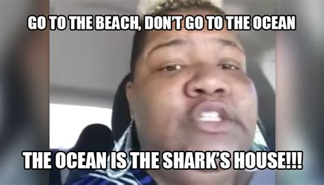 Sharks House Destin Fl Get The Coast