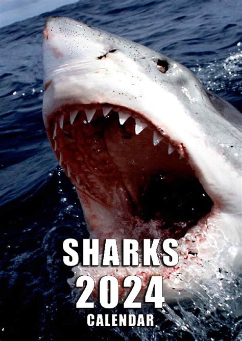 Sharks In Destin 2024 Calendar Darsey Joeann