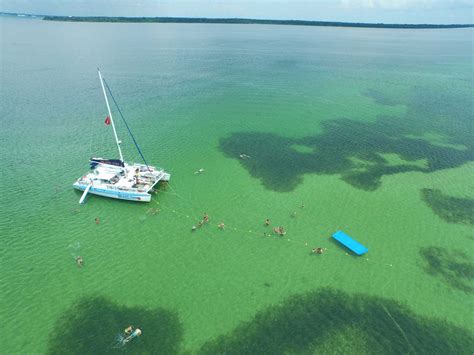 Shell Island Snorkel And Sail Cruise Island Time Sailing