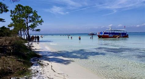 Shelling Tours In Destin Florida Destin Snorkel