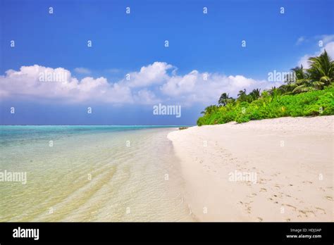 Shoreline Of A Tropical Island In The Maldives And View Of The Indian