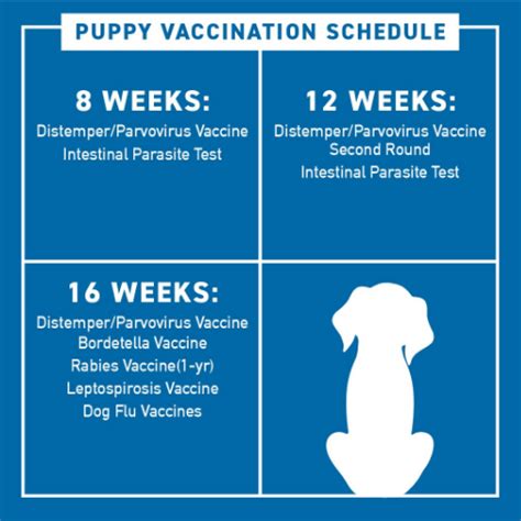 Vaccines Needed for Australia Travel