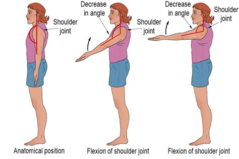 Shoulder Flexion 90 Degrees