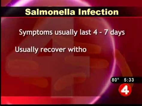 Signs Of And Ways To Prevent Salmonella Youtube