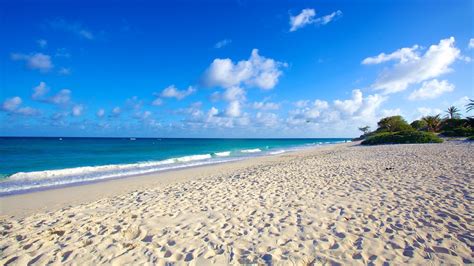 Silver Sands Beach In Oistins Expedia Ca