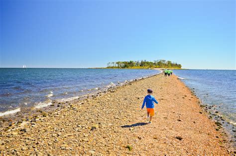 Silver Sands State Park Hike The Hudson Valley