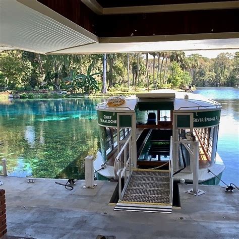 Silver Springs Kayaking And Glass Bottom Boat Tour Impulse4adventure