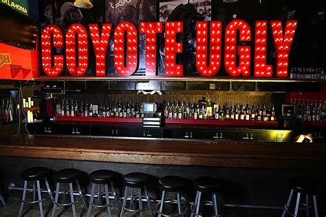 Site Criteria Coyote Ugly Saloon