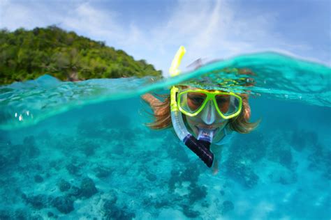 Snorkeling A Tour Around The World Monterey Boats