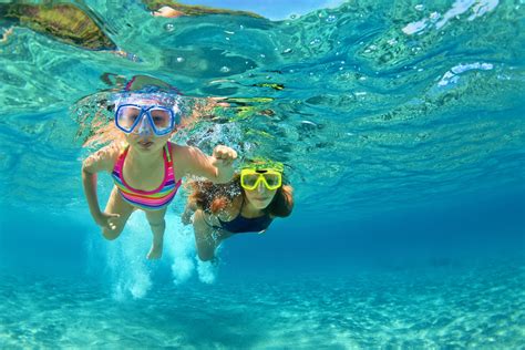 Snorkeling Adventures In Destin Florida