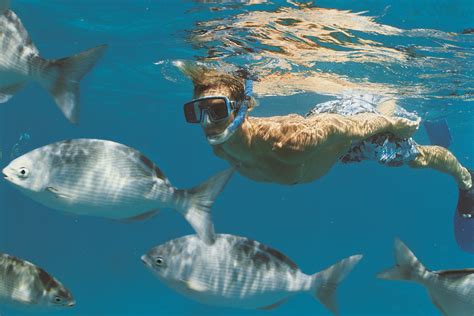 Snorkeling At The Destin Jetties In Florida Usa Today