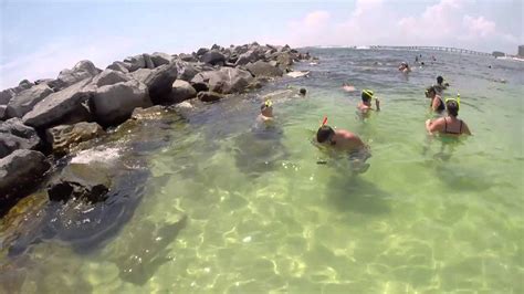 Snorkeling At The East Jetty In Destin Youtube