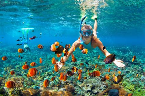 Snorkeling Coral Reef