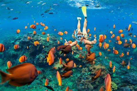 Best Snorkeling Destinations