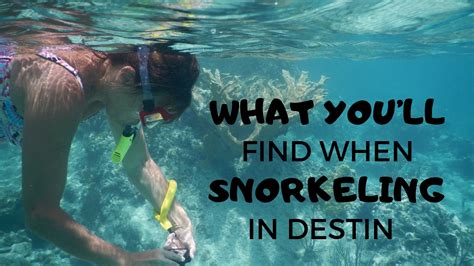 5 Tips Snorkeling Destin FL