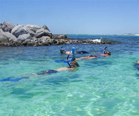 Snorkeling In Destin Florida Pelican Adventures