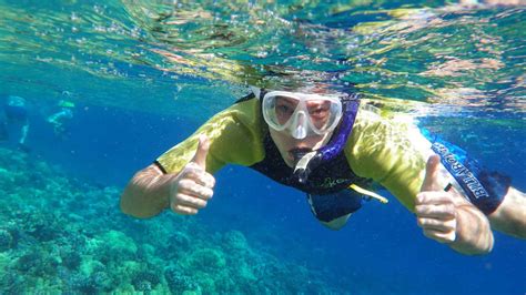 Snorkeling In Destin Florida Snorkeling Site