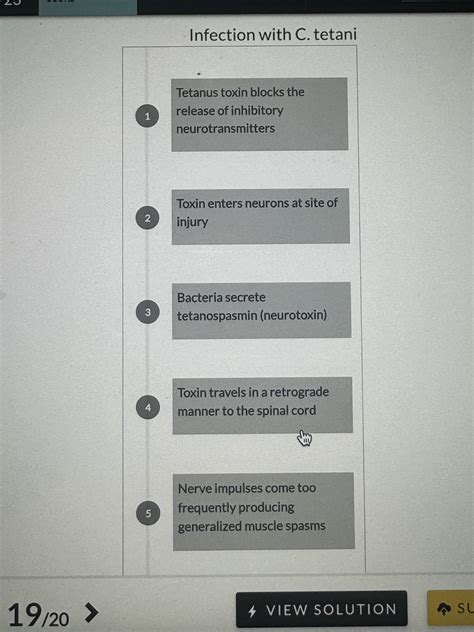 Solved List The Actions Of Tetanus Toxin In The Correct Chegg Com