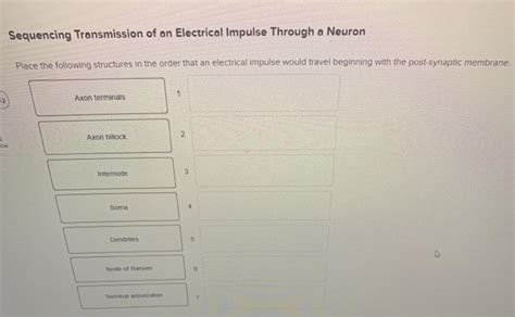 Solved Sequencing Transmission Of An Electrical Impulse Through A