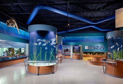 South Florida Science Center And Aquarium In West Palm Beach Visit