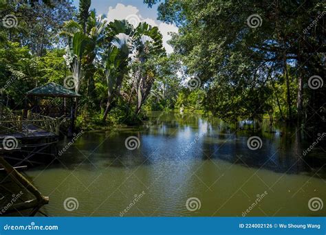 Southeast Asia Tourist Attractions Malaysia Borneo Sabah Sandakan