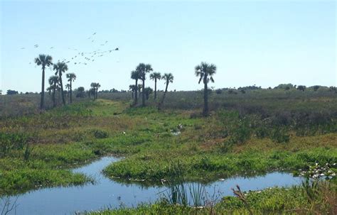 Southern Florida Backroads Road Trip The Pack