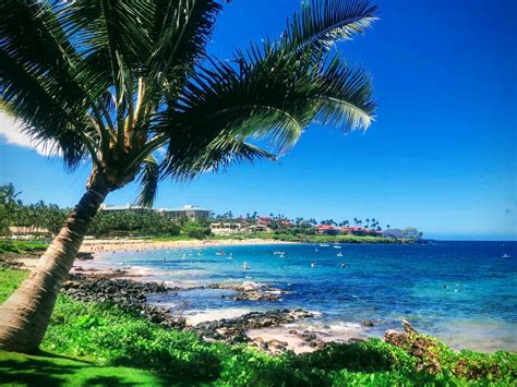 Southwest Flights Routes To Hawaii A Complete Guide 2024