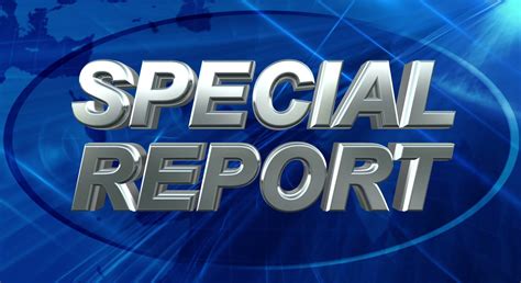 Special Report Logo