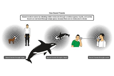 Speed Of Sound Sound Waves Understanding Key Concepts