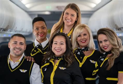 Spirit Airlines Flight Attendant Marketconnect