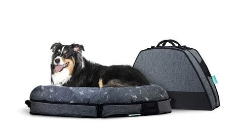 Spruce The Smartest Travel Dog Bed Ever Dog Camping Dogs Dog Gear