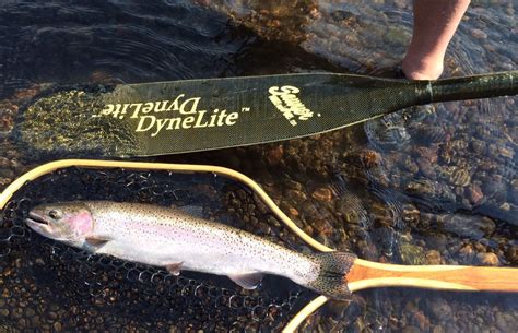 Square Tops And The Pursuit Of Rogue River Steelhead Two Southern Oregon Gems Rogue River