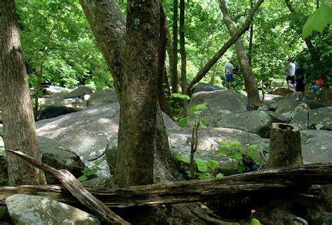 St Petes In Pa Hike Jump Rocks Swim Explore I Haven Amp 39 T Been In Years But Its A Sweet Spot