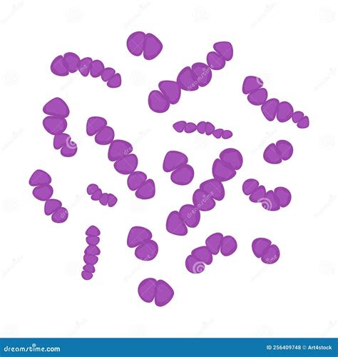 Streptococcus Pneumoniae Bacteria Cell Medical Diagram Icon Stock