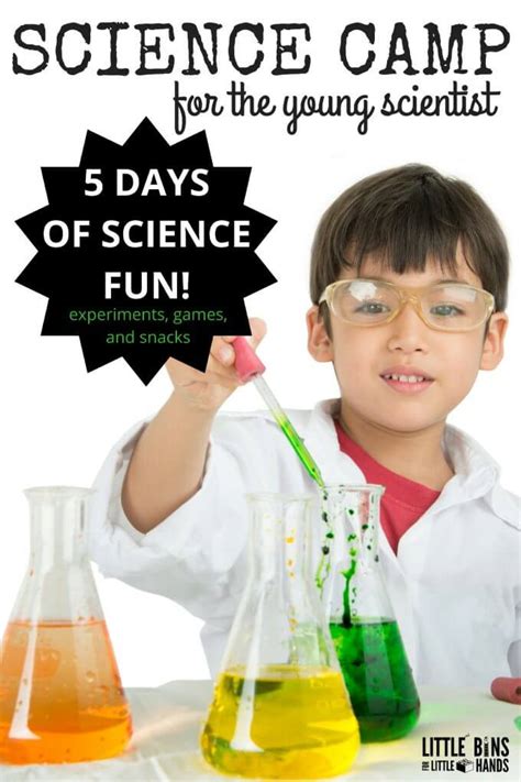 Summer Science Camp For Young Scientists 5 Days Of Fun