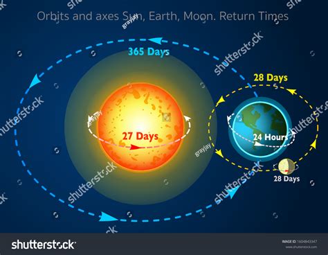 Sun Earth Moon Rotation Itself Orbits Stock Vector (Royalty, 58% Off