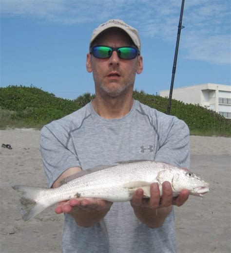 Surf Fishing In Destin Florida Unique Fish Photo