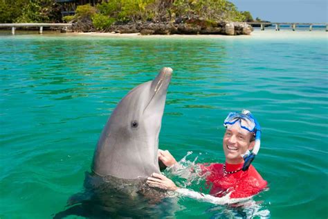 Swim With Dolphins In Cancun At Any Of These 4 Great Places Addicted To Vacation